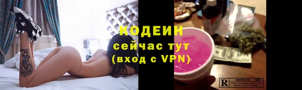 твердый Богородицк