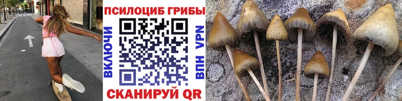 купить   Конаково  Галлюциногенные грибы Cubensis 